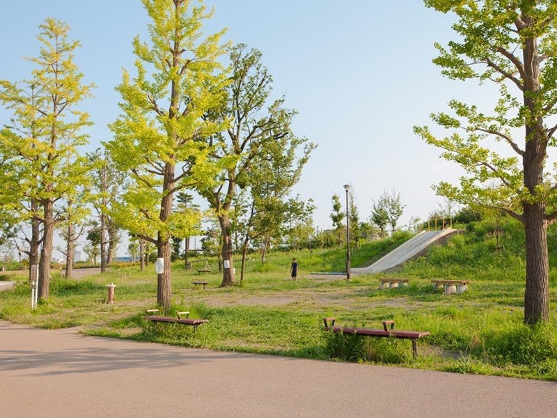 公園　世田谷区立二子玉川公園（公園）まで1248m