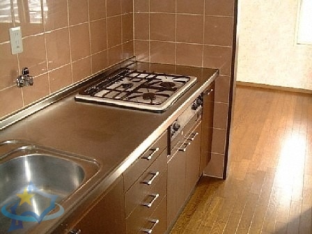 ビッグパレス西線WESTのキッチン写真