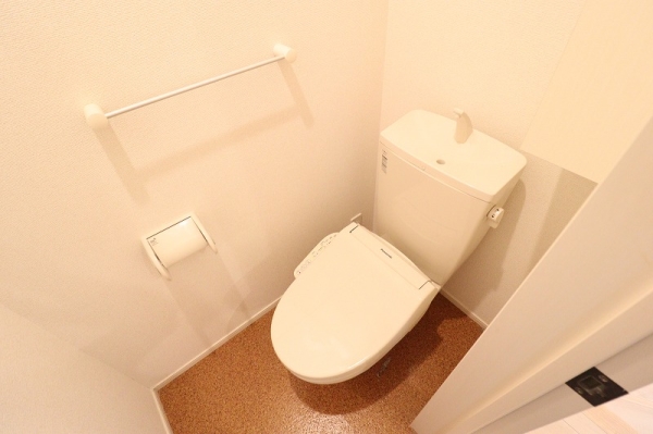 ＪＲ常磐線 赤塚駅 徒歩40分 2階建 築11年のトイレ写真