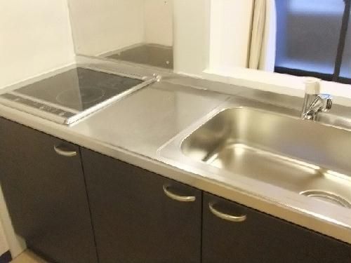 レオネクストHAKUBAIIのキッチン写真