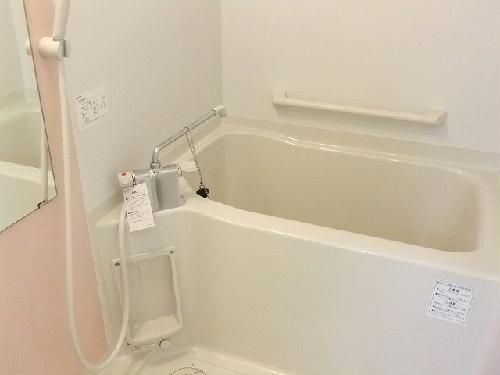 レオネクストHAKUBAIIの風呂写真