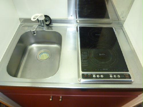 キッチン　２口タイプのラジエントヒーター