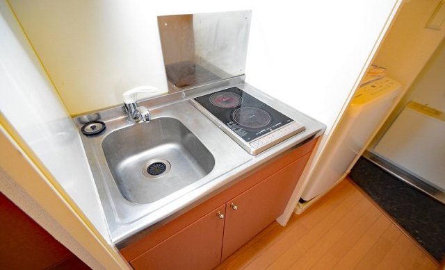 キッチン　同物件、別号室のものです。