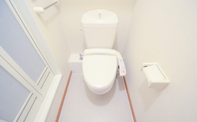 トイレ　同物件、別号室のものです。