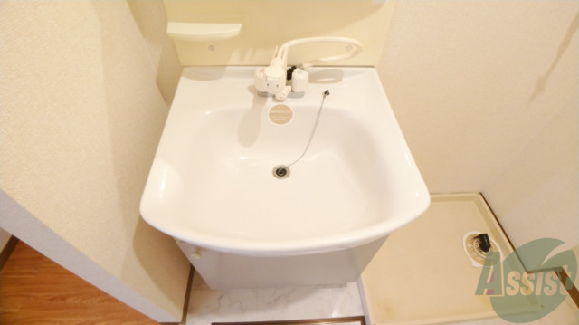 洗面設備　シャワーノズル付きの洗面台は、きれいで広くて使い易い。