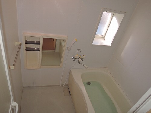 バス・シャワールーム　室内写真は別部屋です