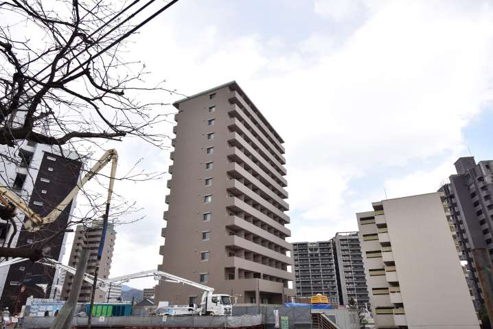 小学校　白島小学校（小学校）まで716m