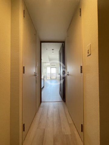 その他　エスリード弁天町グロリア　廊下