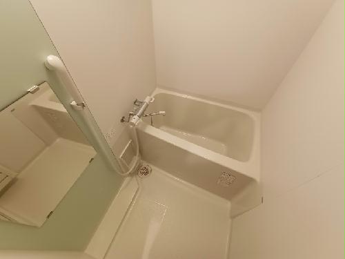 バス・シャワールーム　浴槽スペースです。