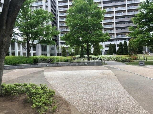 庭