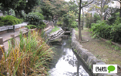 公園　五反野親水緑道（公園）まで1084m