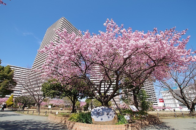 公園　橋本公園（公園）まで963m