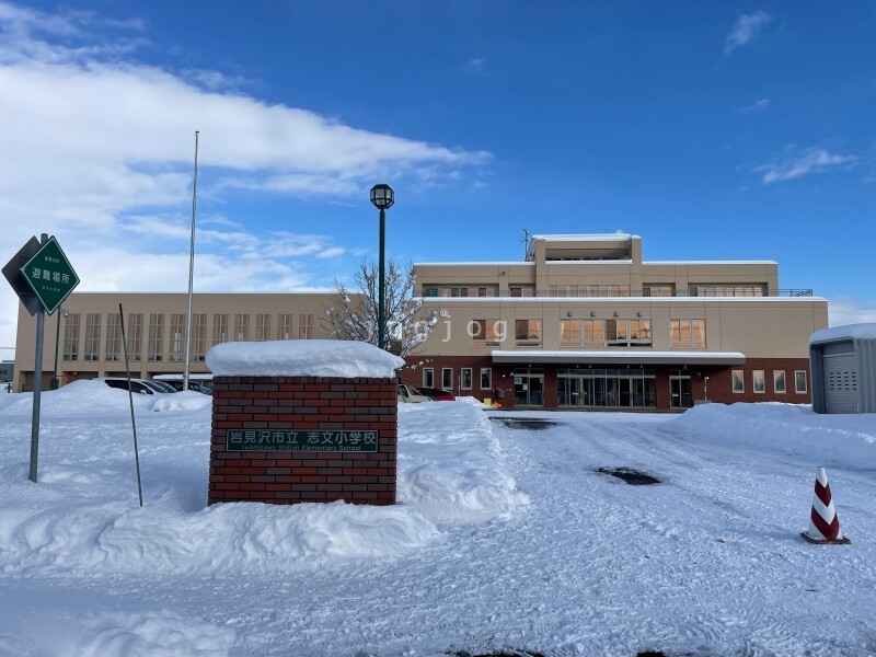 その他　志文小学校（その他）まで294m
