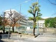 小学校　池田市立五月丘小学校（小学校）まで800m