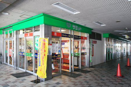 スーパー　サミットストア 戸田公園駅店（スーパー）まで1163m