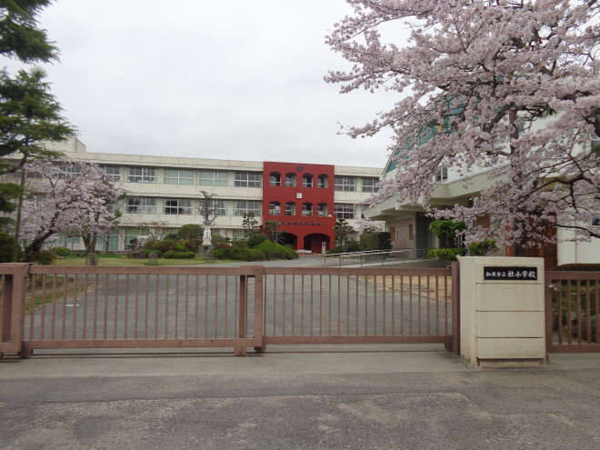 小学校　社小学校（小学校）まで1094m