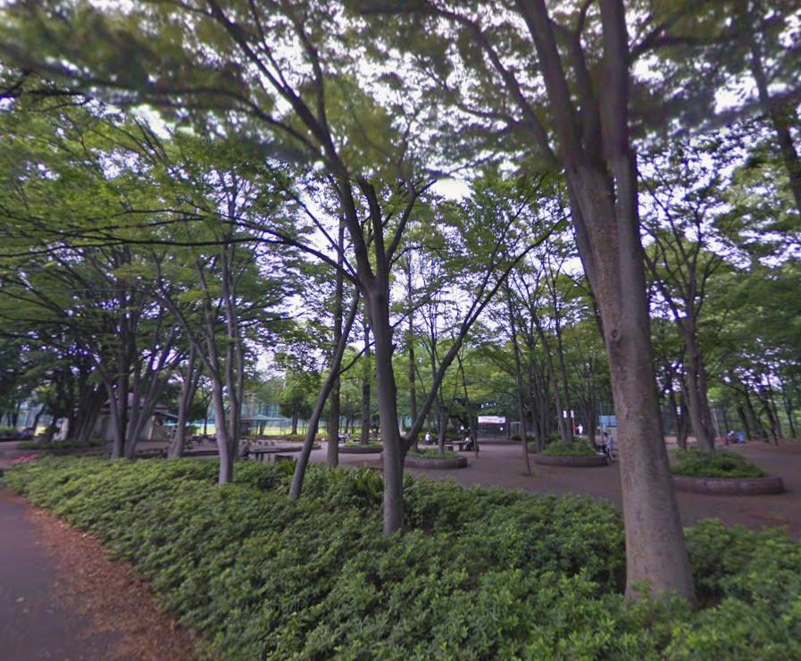 公園　城北中央公園（公園）まで1081m