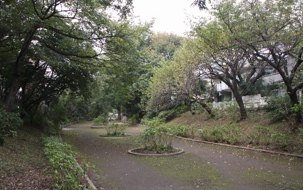 公園　杉並区立 玉川上水第三公園（公園）まで480m