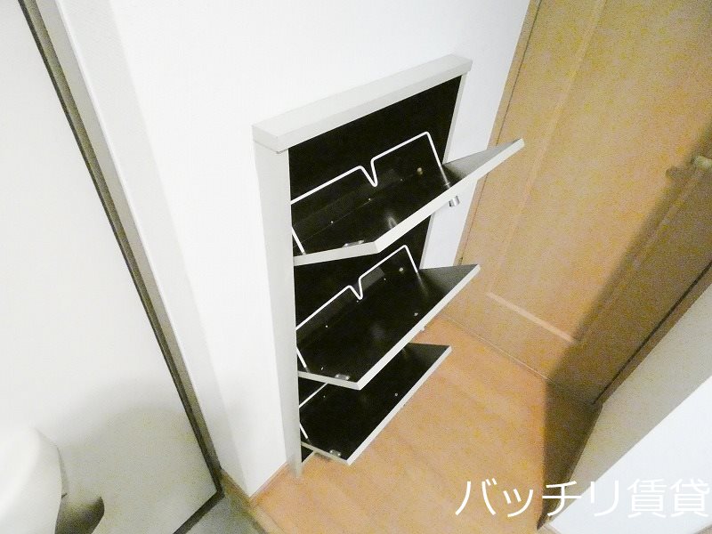 玄関　画像は別号室タイプの為、現状を優先致します。