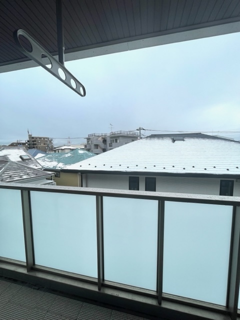 グリーンライン 高田駅 徒歩12分 2階建 築3年のその他写真