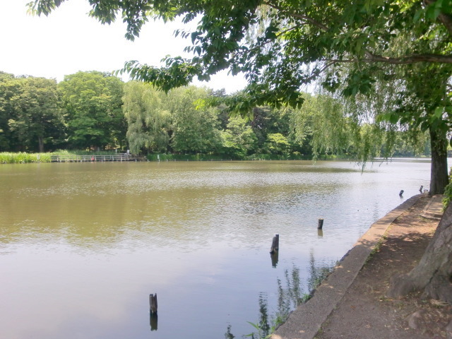 【BORIKI　しゃくじい公園　北棟の公園】