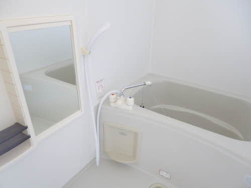 バス・シャワールーム　※同タイプの部屋写真です