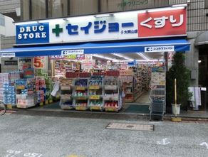 ドラックストア　ココカラファイン大岡山店（ドラッグストア）まで620m