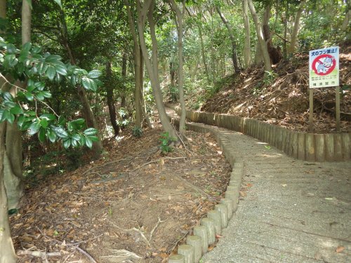 公園　長沢公園（公園）まで401m