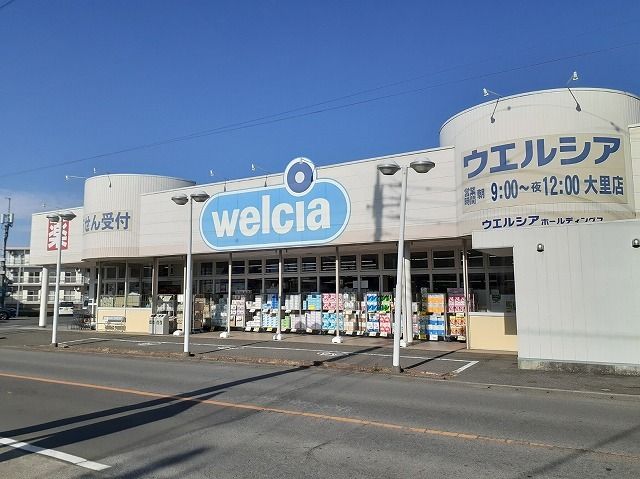 ドラックストア　ウエルシア大里店（ドラッグストア）まで1200m