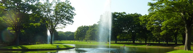 公園　東京都立代々木公園（公園）まで1059m