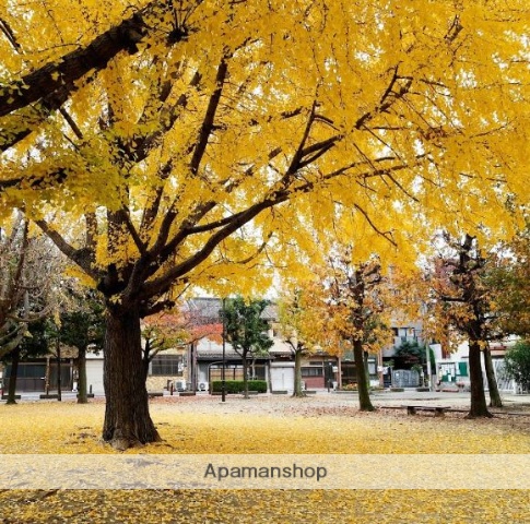 公園　南深江公園（公園）まで313m