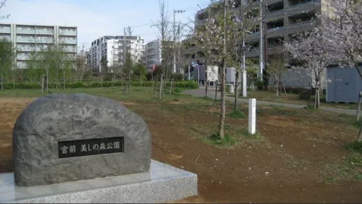 【サンクタス鷺沼プライベートヒルの公園】