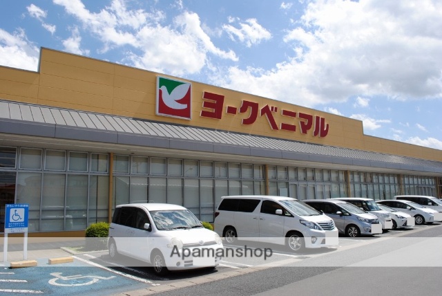 スーパー　（株）ヨークベニマル／石井店（スーパー）まで703m