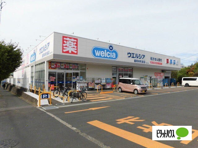 ドラックストア　ウエルシア盛岡本町通店（ドラッグストア）まで280m