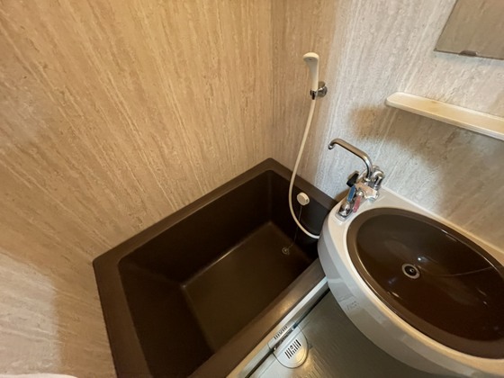 バス・シャワールーム　※別部屋の写真です