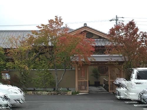 その他　梅の花（その他）まで1100m