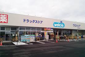 ドラックストア　ウエルシア新潟亀貝店（ドラッグストア）まで447m