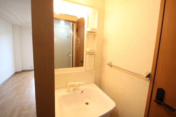 洗面設備　※別号室のお写真です
