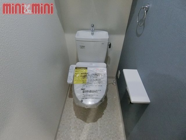 エヌエム・サンカンテ・キャトフ・B棟のトイレ写真