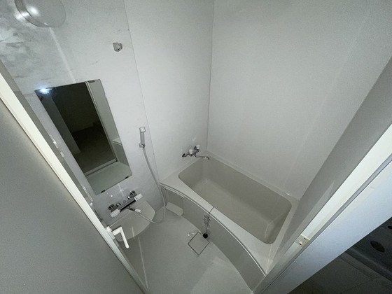 バス・シャワールーム　※別部屋の写真です