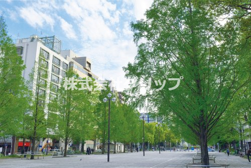 公園　大通り公園（公園）まで224m