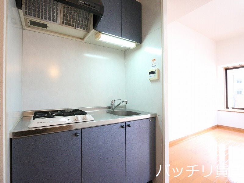 キッチン　画像は別号室タイプの為、現状を優先致します。