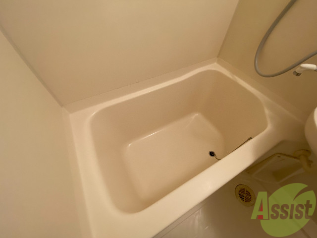 バス・シャワールーム　こちらは浴室です。ゆったり出来そうです。