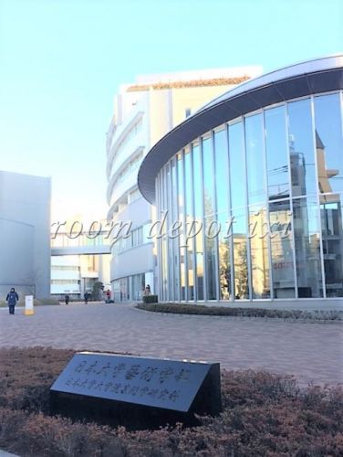 大学・短大　日本大学芸術学部 江古田校舎(キャンパス)（大学・短大）まで992m