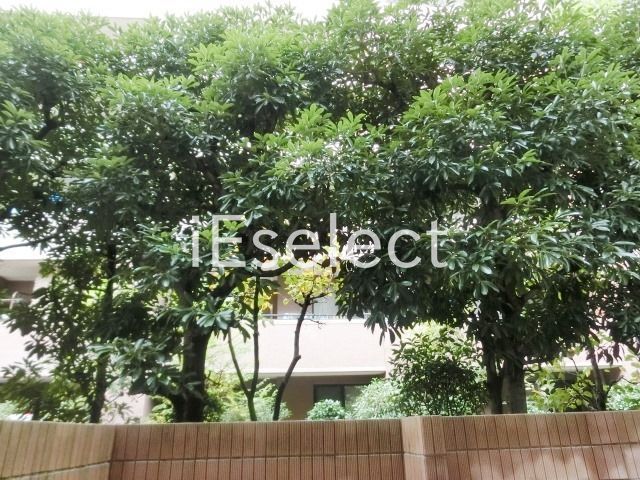 眺望　１階からの眺望です