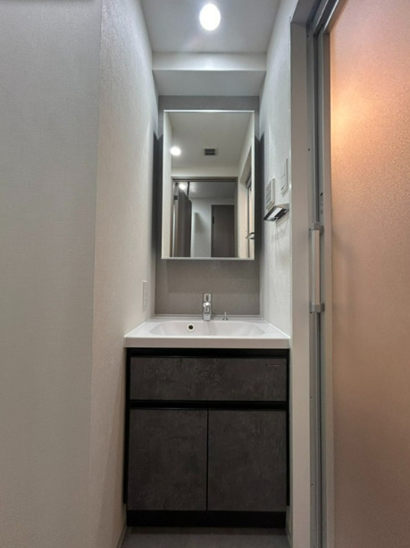 洗面設備　反転タイプ別室画像です