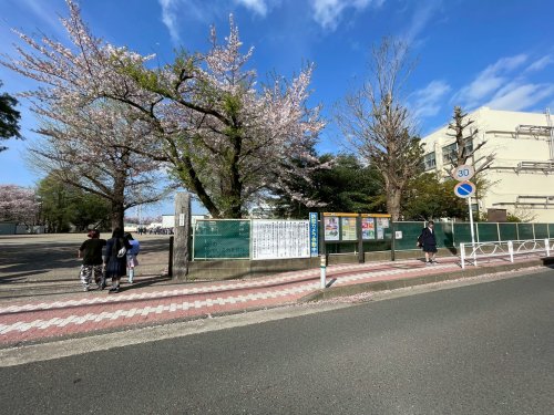 小学校　大和市立大和小学校（小学校）まで960m