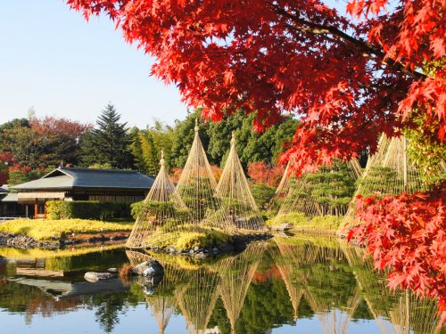 その他　白鳥庭園（その他）まで846m