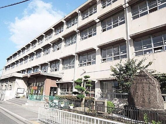 小学校　堺市立三宝小学校（小学校）まで1079m