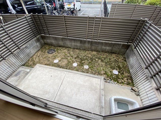 庭